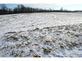 54.7 Acres with 50 tillable and 4.3 wooded.  Surrounded by heavy deer population on CRP land.  Great trophy deer hunting on established food plots.  Hunting tower.

Receive income on tillable acres while abundance of deer hunting on established food plot. - Great Investment Opportunity - Tillable Land, Recreation & Building Site